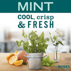 Mrs. Meyer's Clean Day 2.9 Oz. Mint Small Tin Soy Candle 322919