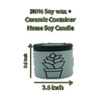 2-Pack Peppermint Eucalyptus Scented Candles 6 oz | Home Decor Candles - 100% Soy Wax Ceramic Jar