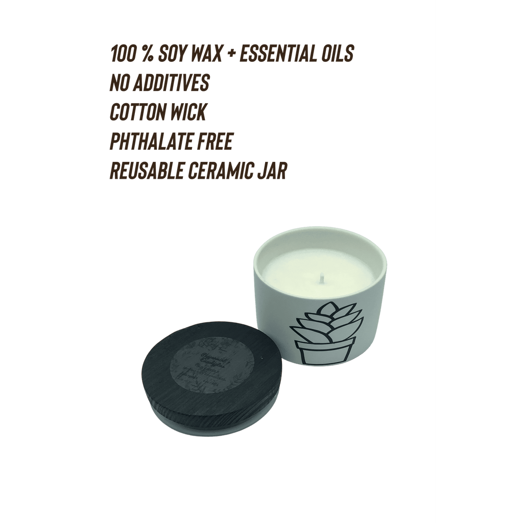 2-Pack Peppermint Eucalyptus Scented Candles 6 oz | Home Decor Candles - 100% Soy Wax Ceramic Jar