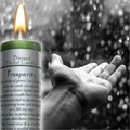 Coventry Creations Prosperity B lessed Herbal Candle