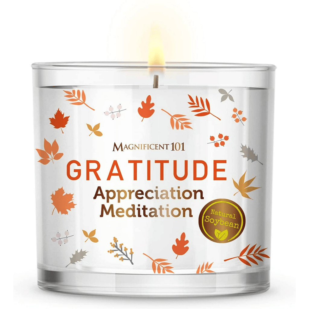 Magnificent 101 Long-Lasting Abundance Smudge Aromatherapy Candle | 14 Oz - 56-Hour Burn | Made of 100% Soy Wax, Sage Herbs | Ideal for House Energy Cleansing & Manifestation - SJB-DIAMOND ELITES