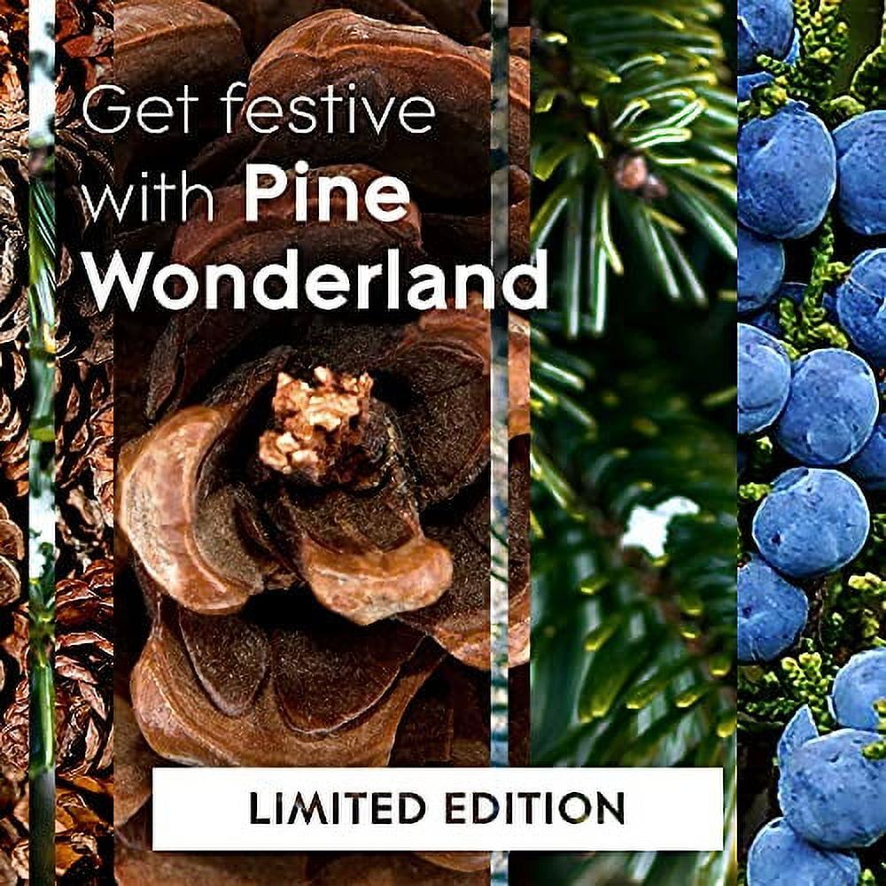 Glade Candle Pine Wonderland, Fragrance Candle Infused with Essential Oils, Air Freshener Candle, 3-Wick Candle, 6.8oz, 3 Count EasyOptionXY LLC