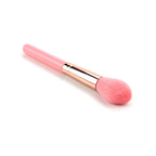 Highlight Brush Giveaway Makeup Brush Pi-Mart