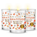 Magnificent 101 Long Lasting Set of 3 Gratitude Smudge Candles | 3.5 Oz Each - 42 Hour Burn |Soy Wax Candle for House Energy Cleansing, Meditation & Manifestation - SJB-DIAMOND ELITES