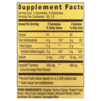 Spring Valley Turmeric Curcumin Vegetarian Gummies; 60 Count EasyOptionXY LLC