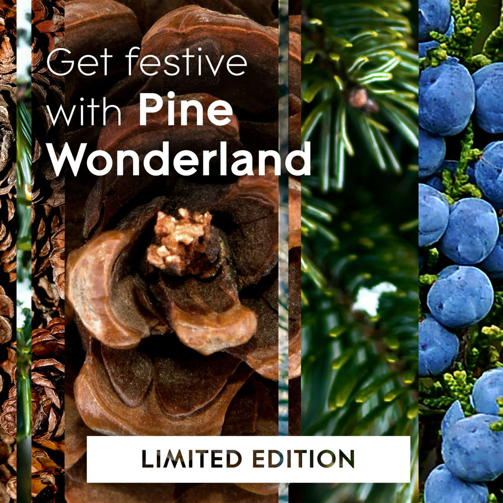 Glade Candle, 3 Wick Scented Candle, Pine Wonderland, 6.8 oz - SJB-DIAMOND ELITES