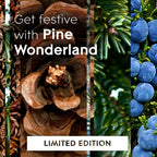 Glade Candle, 3 Wick Scented Candle, Pine Wonderland, 6.8 oz - SJB-DIAMOND ELITES