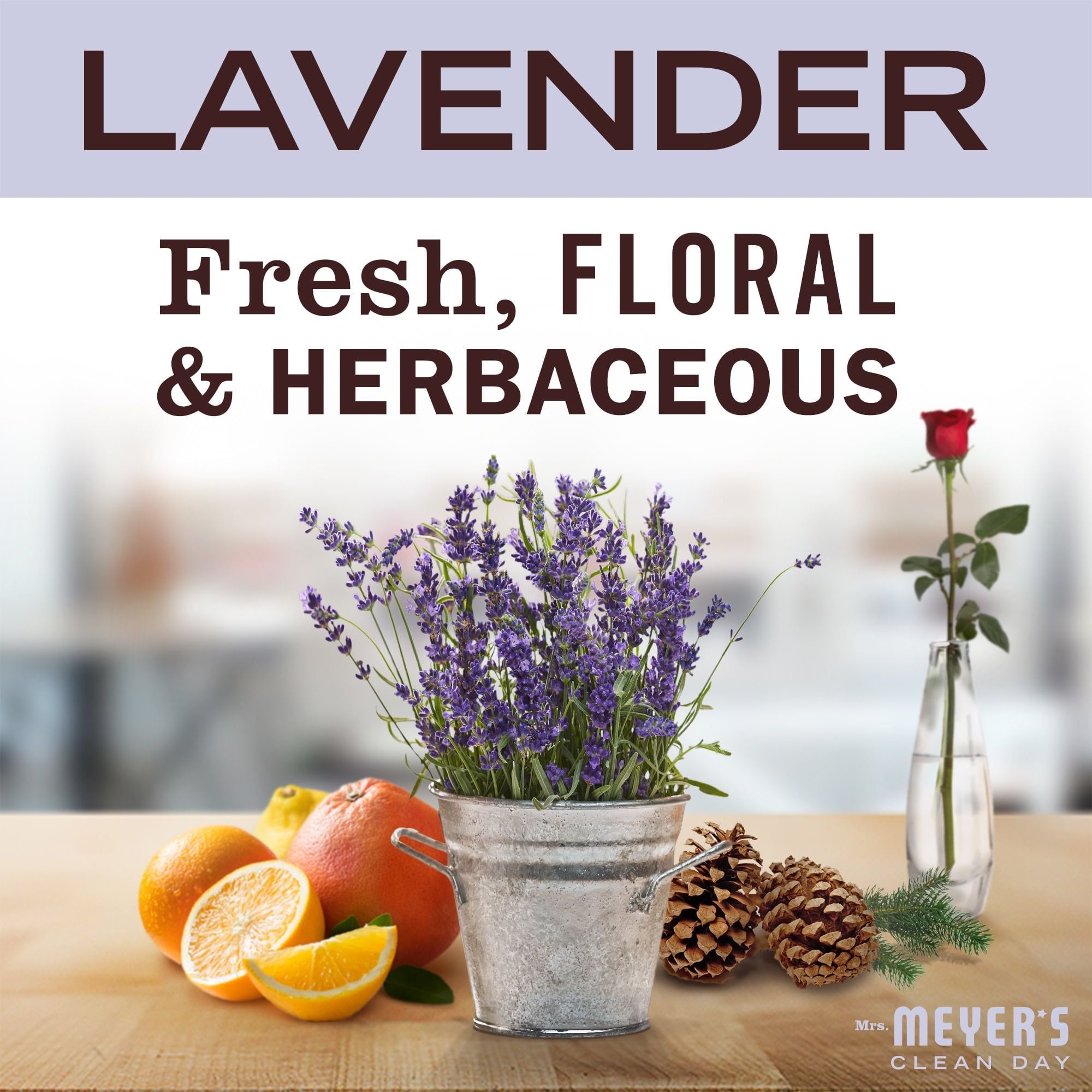 Mrs. Meyers Clean Day Scented Soy Candle, Lavender, 7.2 oz - SJB-DIAMOND ELITES