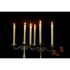 Chamvis Flickering Ivory Flameless LED Battery Operated Taper Plastic Candles 3D Wick Lights 6PK with Remote Control with Timer for Home Decor Halloween Christmas Wedding - SJB-DIAMOND ELITES