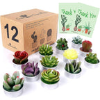 AIXIANG 12Pcs Cactus Candles Succulent Candles, Wedding Party Favors for Guests, Bridal Shower Candles Favors - SJB-DIAMOND ELITES