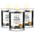 Magnificent 101 Set of 3 Long-Lasting Full Moon Aromatherapy Candles 10.5 Oz - 42-Hour Burn 100% Soy Wax, Herbs Ideal for Meditation, House Energy Cleansing & Manifestation - SJB-DIAMOND ELITES