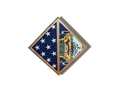 Flag Connections 2 Flags display case - Wall Mounted Walnut box The Military Gift Store