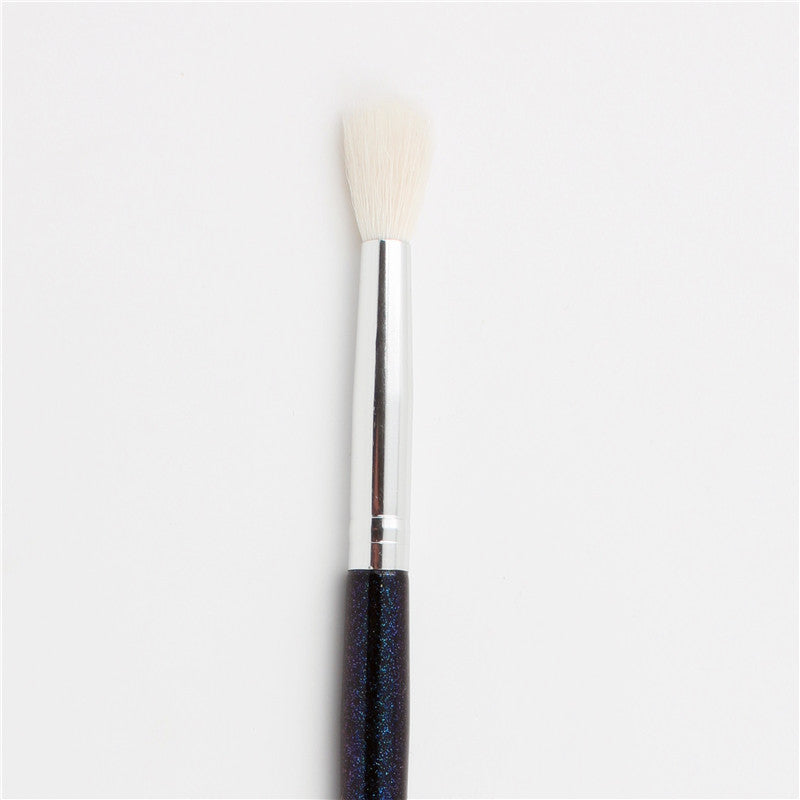 Eye makeup brush set Pi-Mart