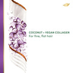 Dove Real Biomimetic Care Daily Shampoo with Vegan Collagen, Coconut, 10 fl oz