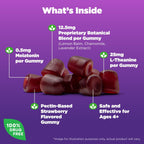 Natrol? Kids Sleep+? Calm, Melatonin and L-Theanine, Sleep Gummies for Kids, Strawberry Flavor, 60 Count