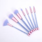 Beauty tools makeup brush Pi-Mart