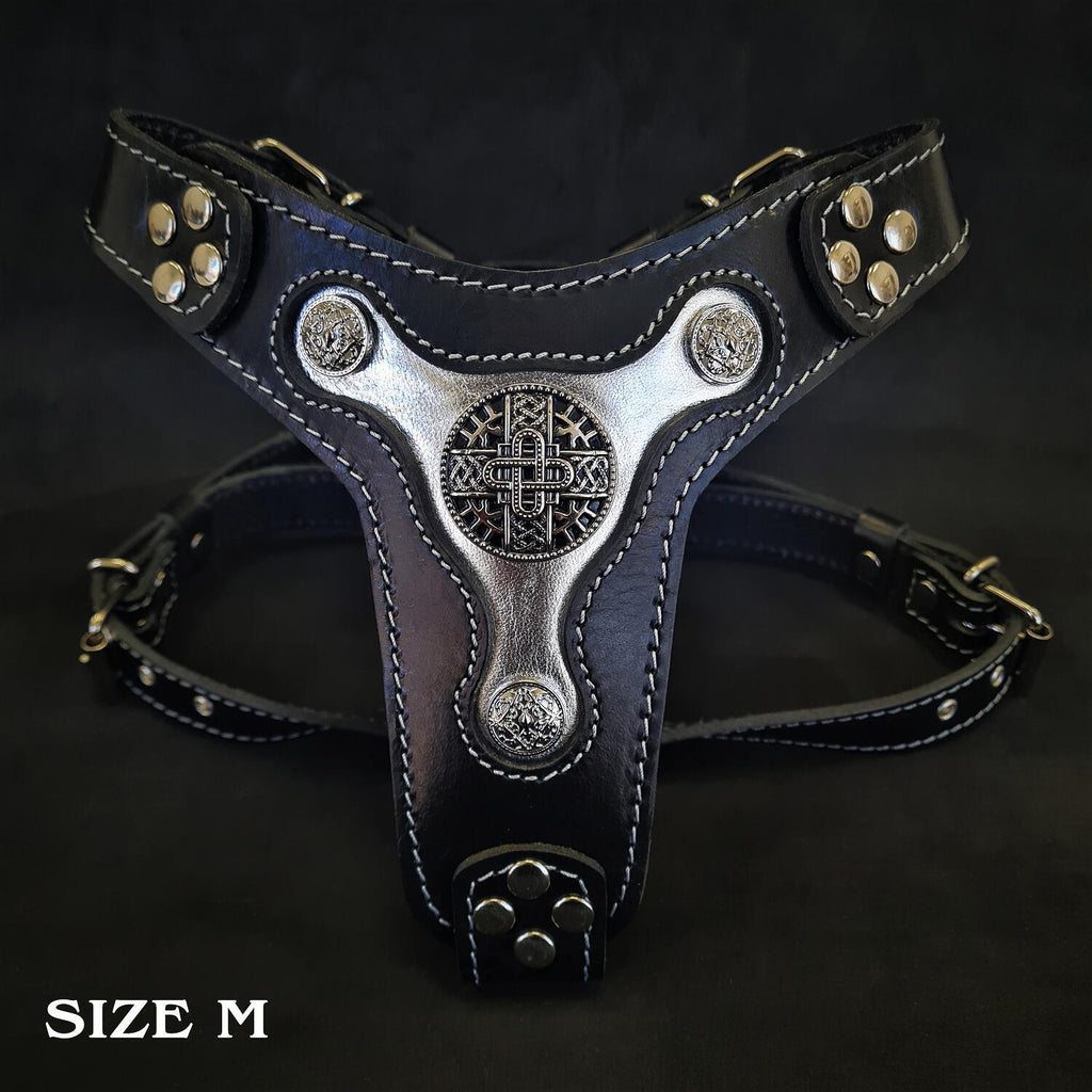 The "Hektor" harness - SJB-DIAMOND ELITES