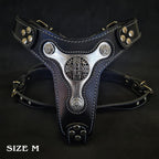 The "Hektor" harness - SJB-DIAMOND ELITES