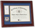 Flags Connections U.S. Coast Guard Medal and Award Frame with Medallion -13 x 16 The Military Gift Store