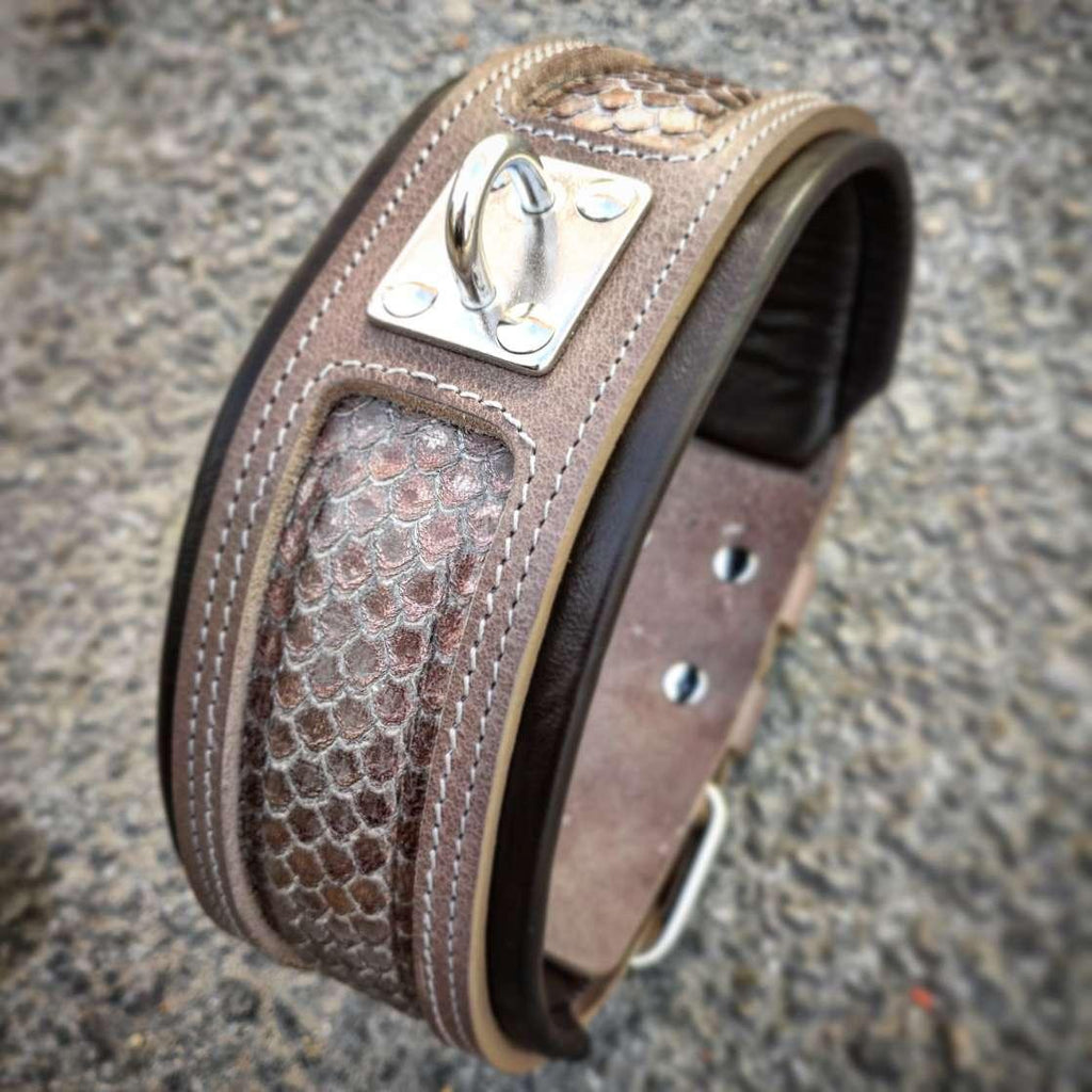 The ''Python'' exclusive design - SJB-DIAMOND ELITES