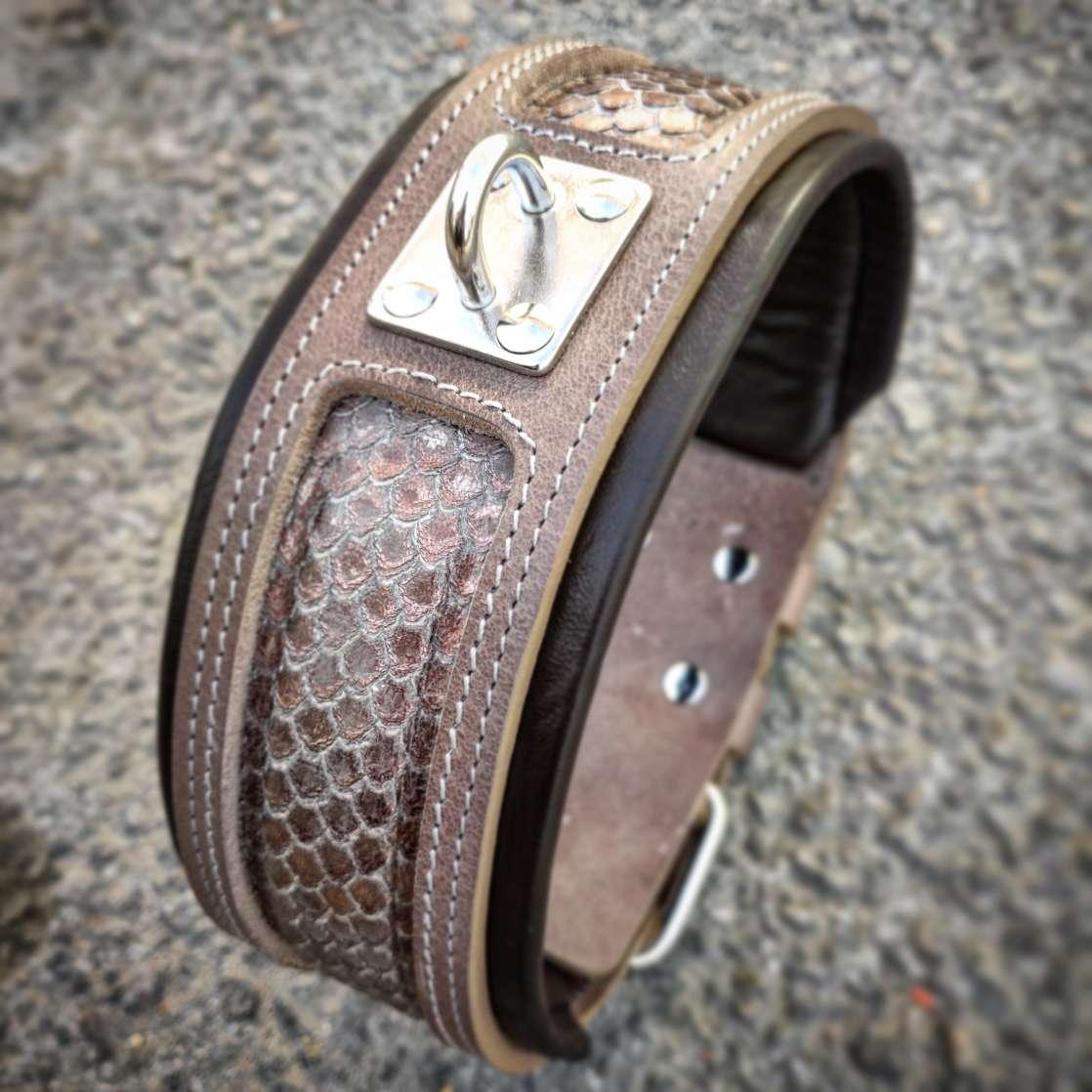The ''Python'' exclusive design - SJB-DIAMOND ELITES