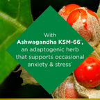 Nature's Bounty Anxiety & Stress Relief Supplement; Ashwagandha KSM 66; 50 Count EasyOptionXY LLC