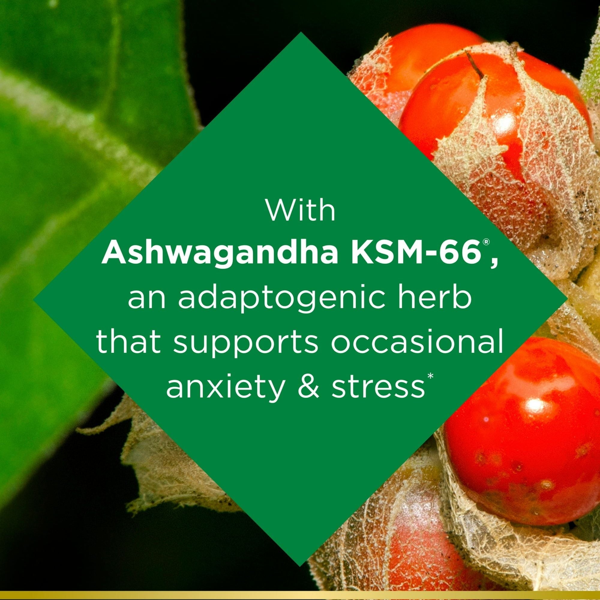 Nature's Bounty Anxiety & Stress Relief Supplement; Ashwagandha KSM 66; 50 Count EasyOptionXY LLC