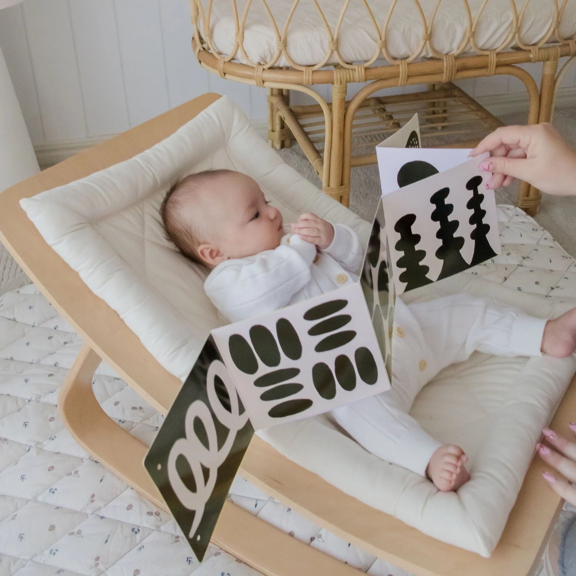 Tiny Land® Montessori Toys for Newborns (0–3 Months) - SJB-DIAMOND ELITES