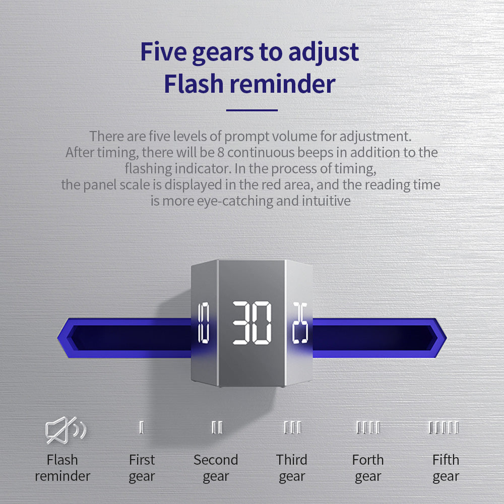Electronic Timer Second Generation Pi-Mart
