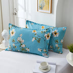 Brushed Printed Cartoon Single With Duvet Cover Bedding Pi-Mart