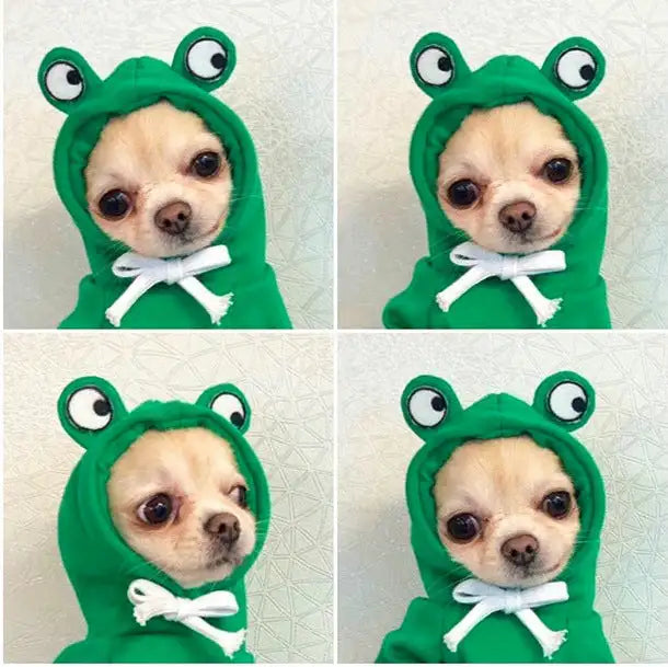 Cute Fruit Dog Clothes For Small Dogs Hoodies Winter Warm Fleece Pet Clothing Puppy Cat Costume Coat For French Chihuahua Outfit