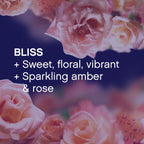 Downy Infusions Fabric Softener Dryer Sheets, Bliss, Sparkling Amber & Rose, 160 Ct