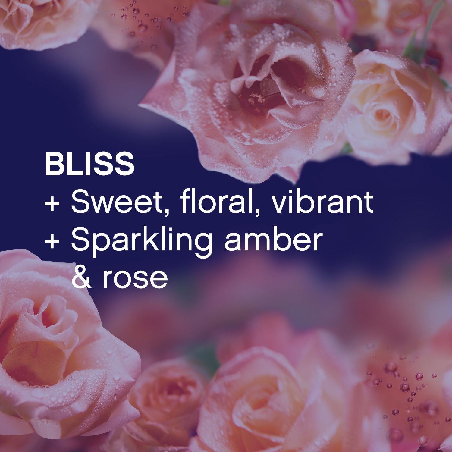 Downy Infusions Fabric Softener Dryer Sheets, Bliss, Sparkling Amber & Rose, 160 Ct