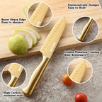 McCook Gold Kitchen Knife Sets,20 Pieces Luxury Golden Titanium Knife Block Set with Built-in Sharpener EasyOptionXY LLC