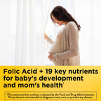 Nature Made Prenatal with Folic Acid + DHA Softgels; 70 Count