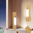 Smart Home Charging Induction Lamp Multi-function Torch Induction Lamp Pi-Mart