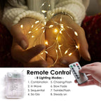 33 Feet 100 LED Fairy Lights with Remote Timer, 2 Pack Battery Operated Twinkle String Lights for Bedroom, Garden, Party, Christmas Indoor and Outdoor Decor, Warm White EasyOptionXY LLC