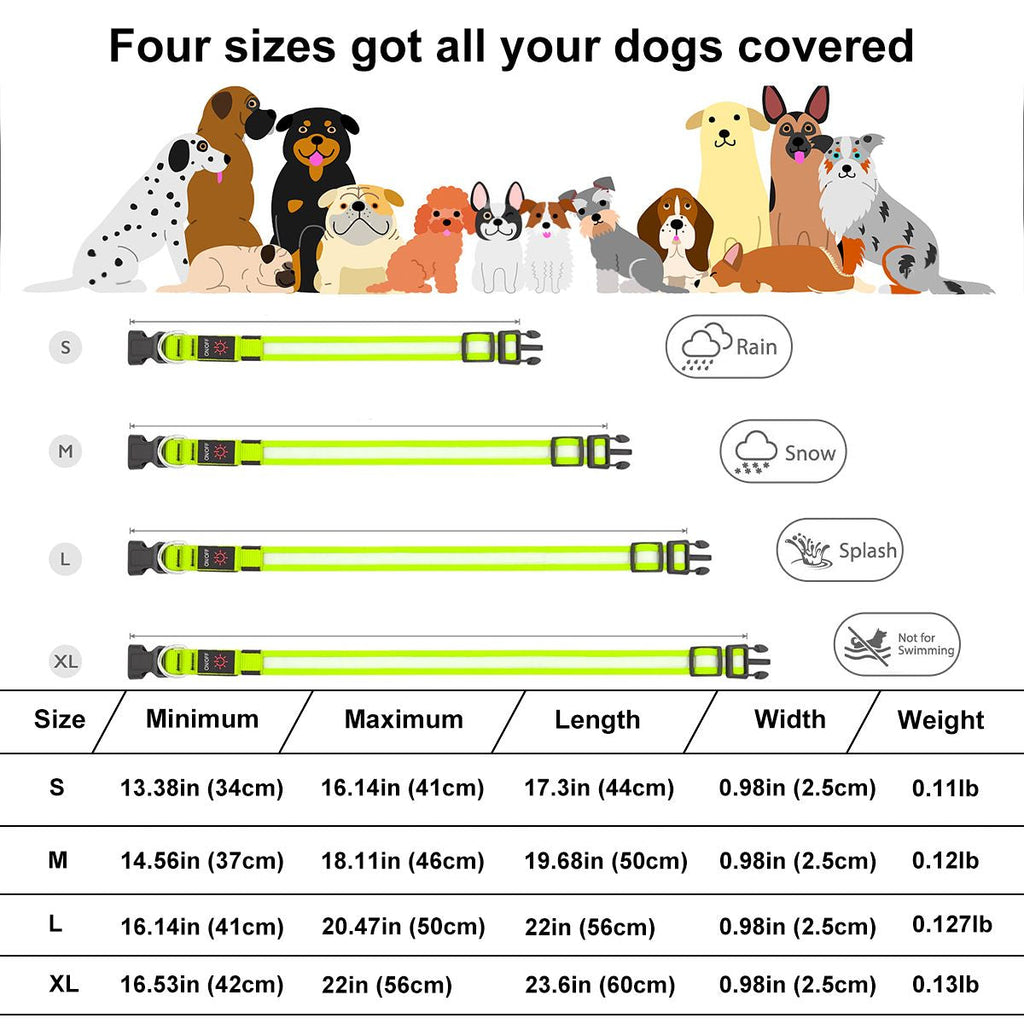 LED Dog Collar, USB Rechargeable Light Up Dog Collar, Adjustable Safety Glowing Collar for Dogs (Green, S Size) EasyOptionXY LLC
