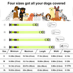 LED Dog Collar, USB Rechargeable Light Up Dog Collar, Adjustable Safety Glowing Collar for Dogs (Green, XL Size) EasyOptionXY LLC