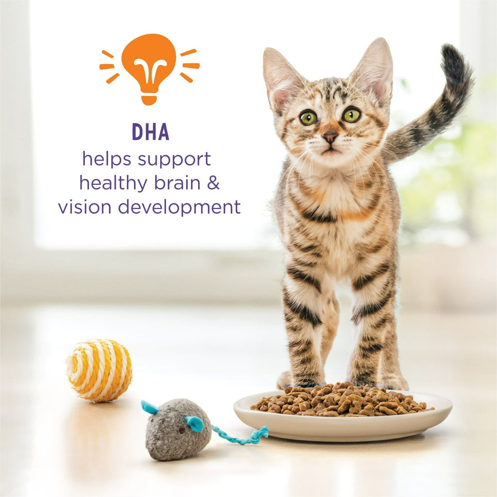 Purina Kitten ChowHealthy Development, Indoor Dry Kitten Food, Chicken, 6.3 lb Bag EasyOptionXY LLC