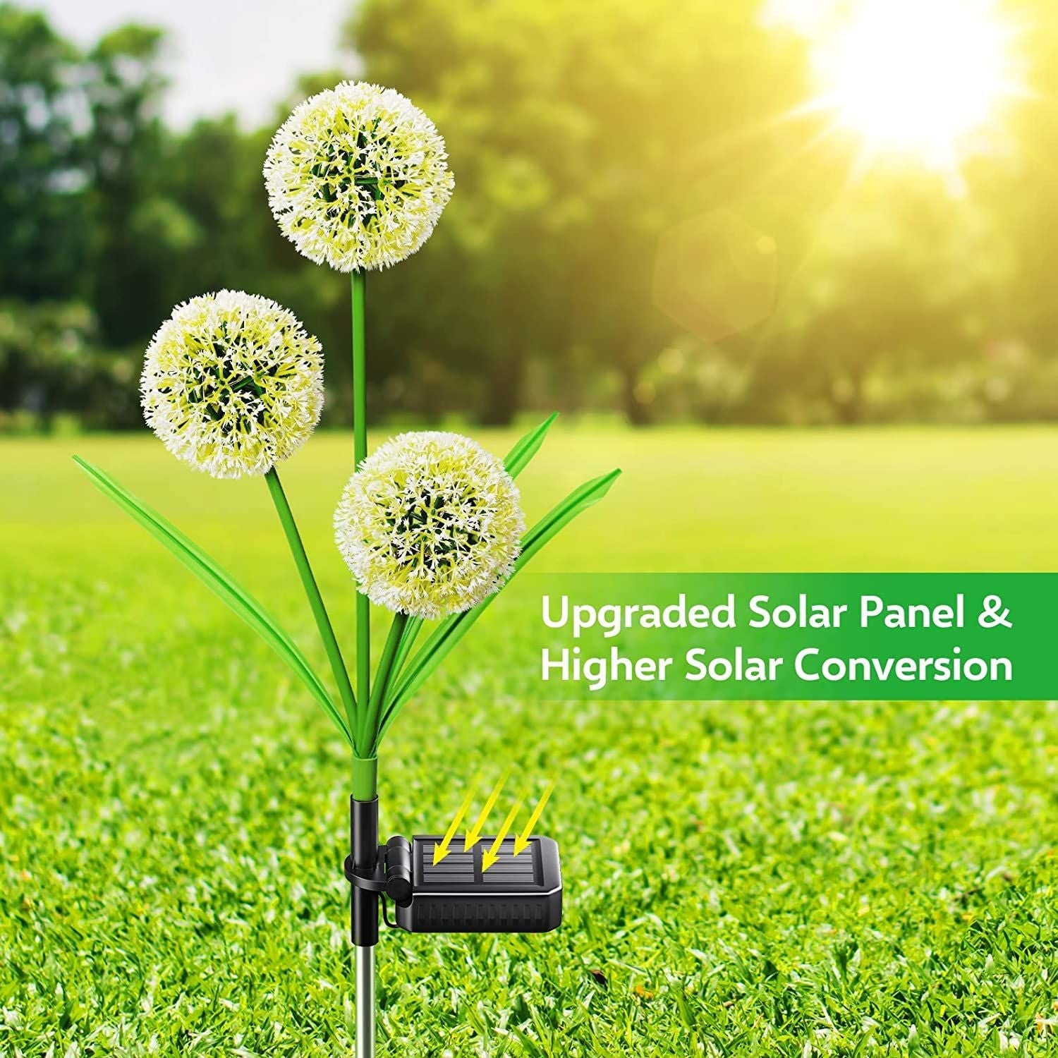 36 LED Waterproof Dandelion Garden String Lights, 2 Pack Outdoor Solar Lights Decorative for Walkway Pathway Backyard Christmas Decoration EasyOptionXY LLC