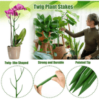 6 Pack 39.37'' Twig Plant Support Stake Set, Adjustable Monstera Plant Support, Plant Trellis Poles Plant Sticks for Indoor and Outdoor Potted Plants EasyOptionXY LLC