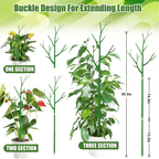 6 Pack 39.37'' Twig Plant Support Stake Set, Adjustable Monstera Plant Support, Plant Trellis Poles Plant Sticks for Indoor and Outdoor Potted Plants EasyOptionXY LLC