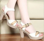 Waterproof Platform Sandals - Roman Style Shoes | Femstylo