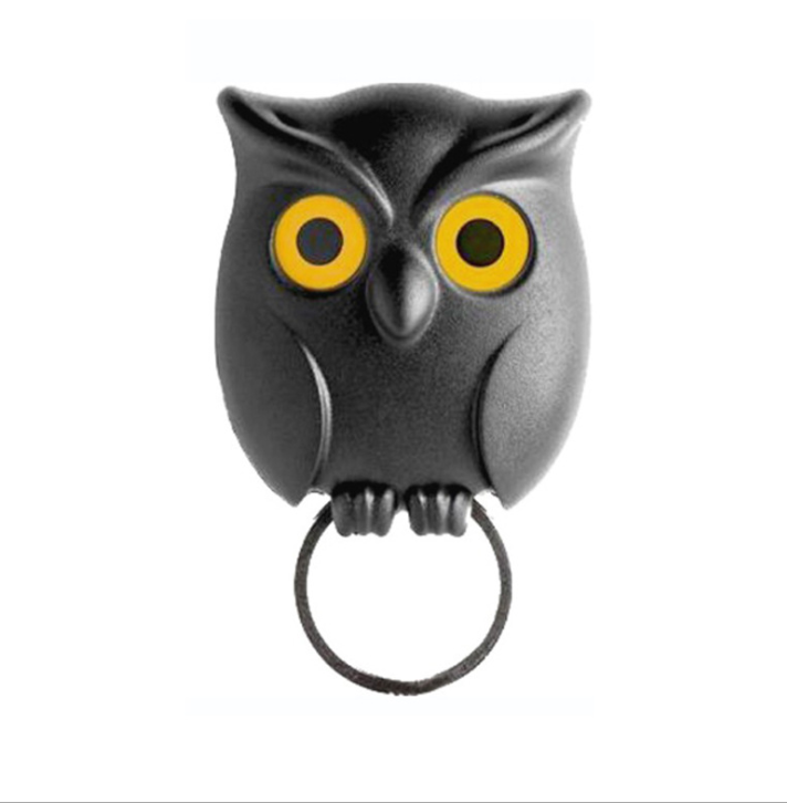 Night Owl Magnetic Wall Key Holder Wall Magnets Keep Keychains Hooks Pi-Mart