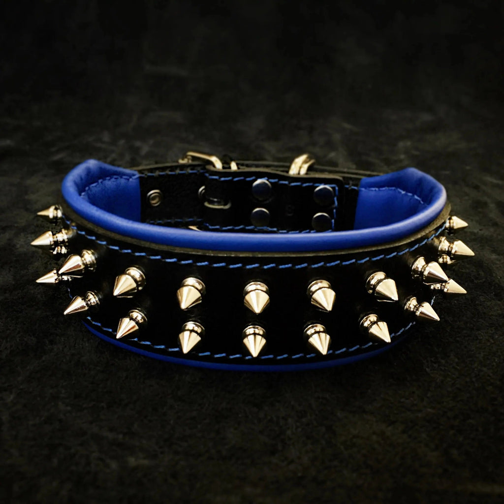 "Frenchie" collar Bestia Dog Gear
