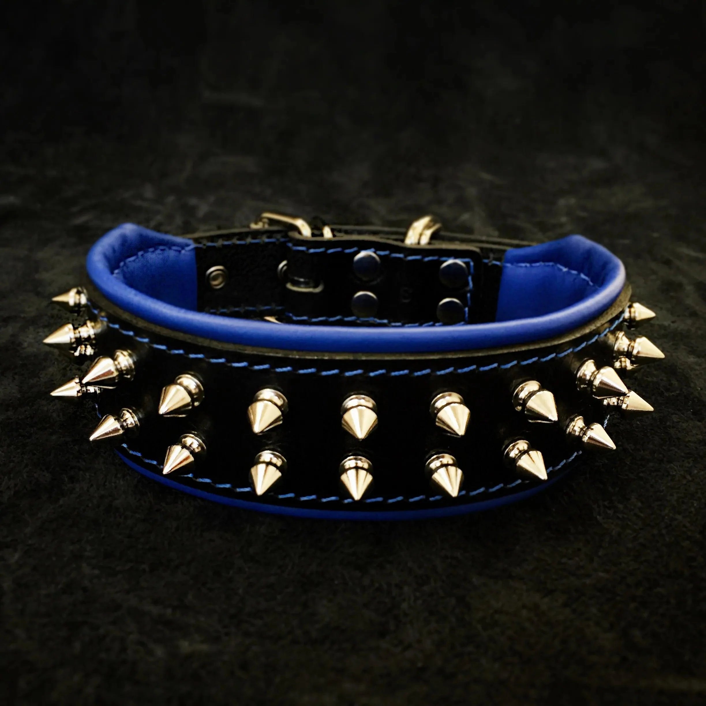 "Frenchie" collar Bestia Dog Gear