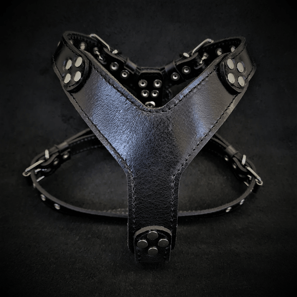 The ''Style'' harness Black Small to Medium Size - SJB-DIAMOND ELITES