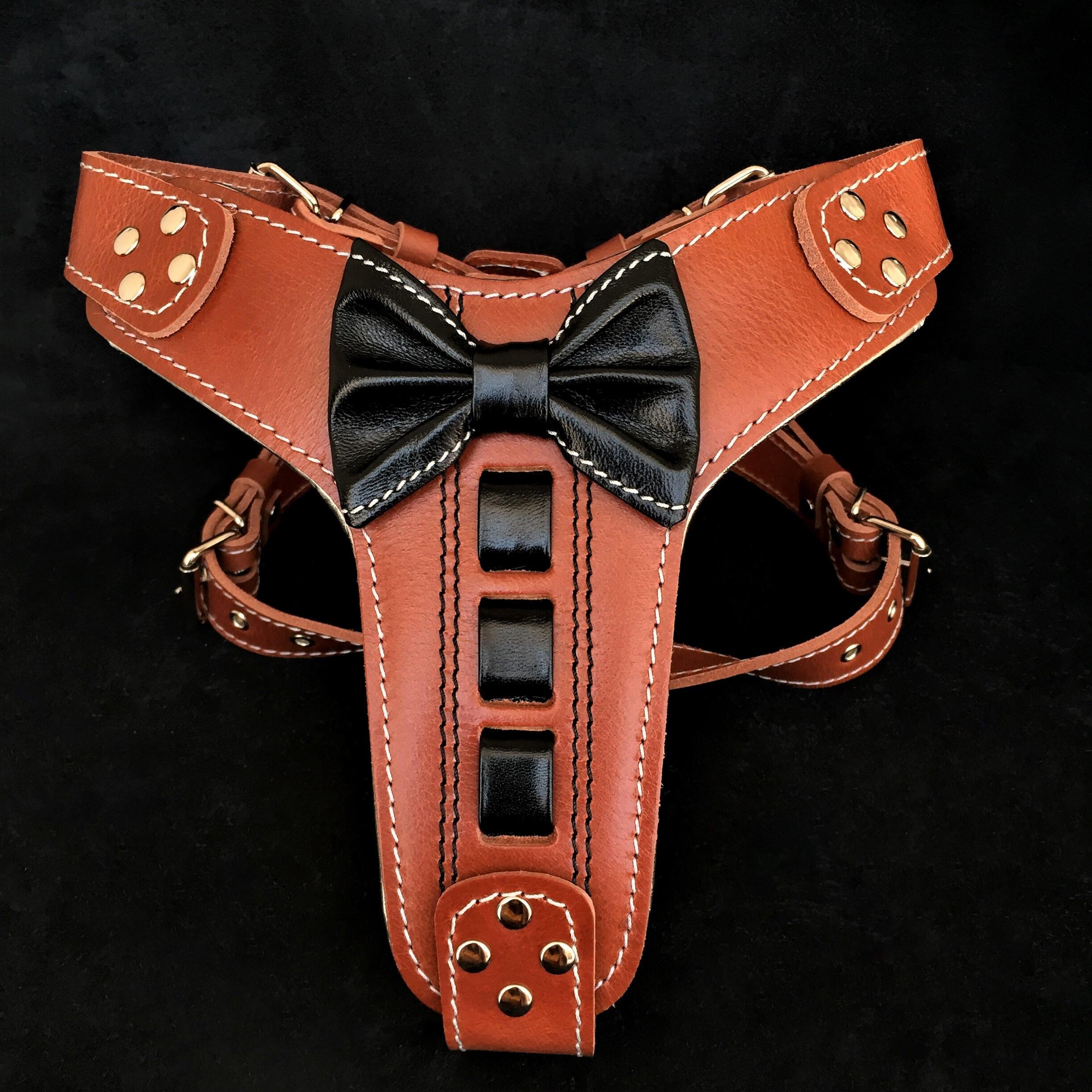 Bestia ''Bowtie'' leather harness - SJB-DIAMOND ELITES