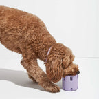 Dog Tennis Cup Natural Rubber Bite-resistant Toys Pi-Mart